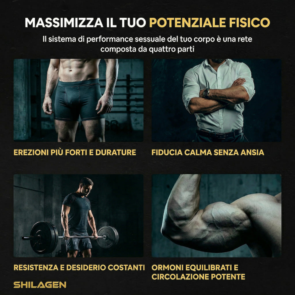 Shilagen Shilajit Gummies