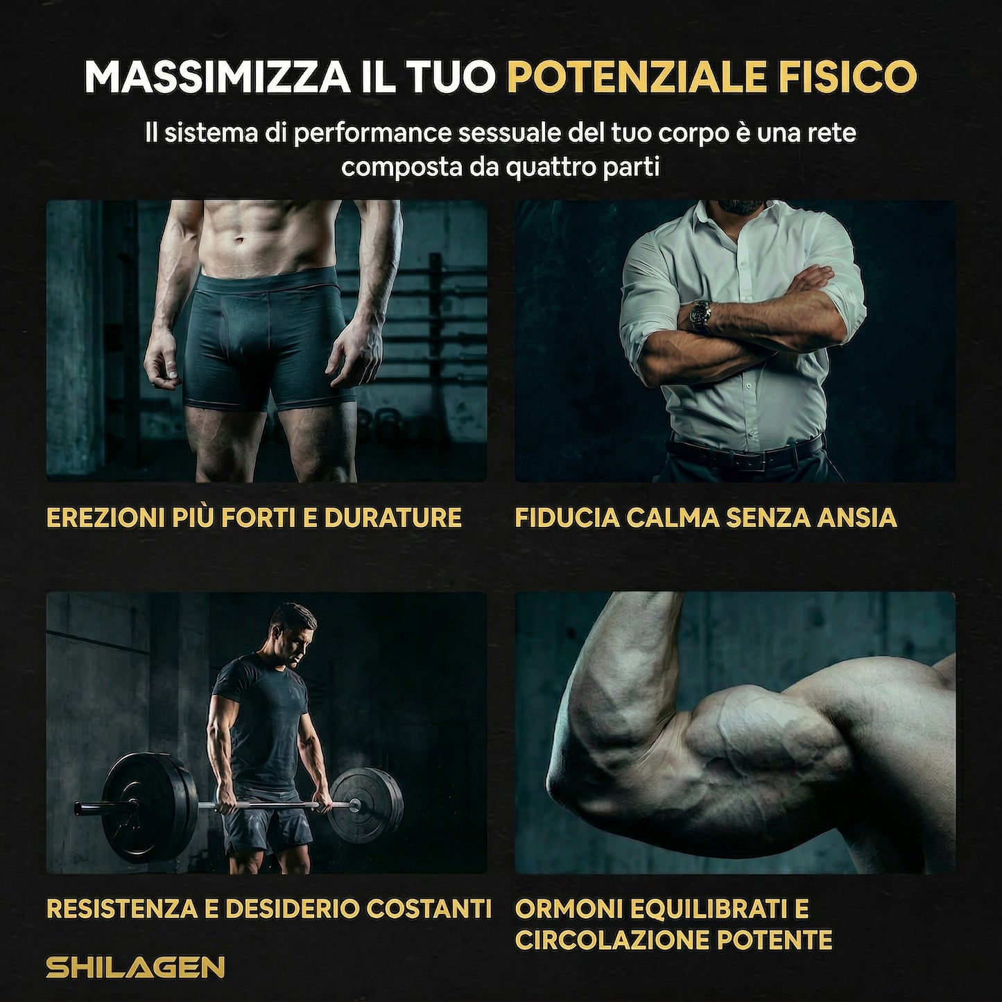 Shilagen Shilajit Gummies