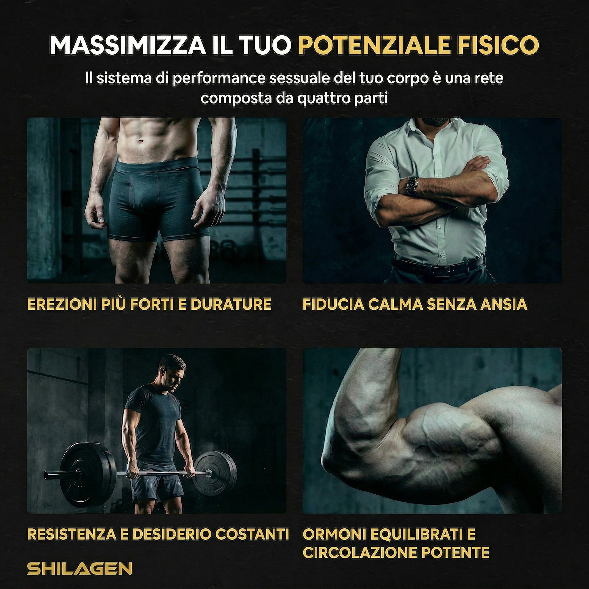 Shilagen Shilajit Gummies