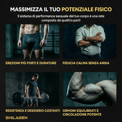 Shilagen Shilajit Gummies