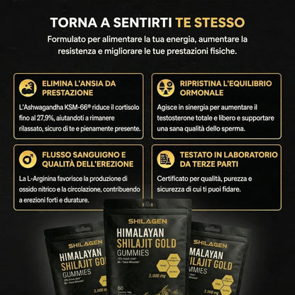 Shilagen Shilajit Gummies