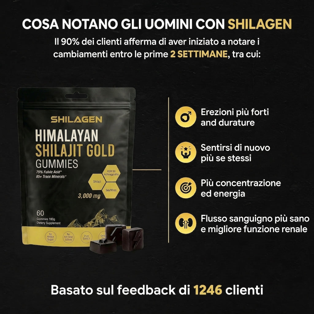 Shilagen Shilajit Gummies